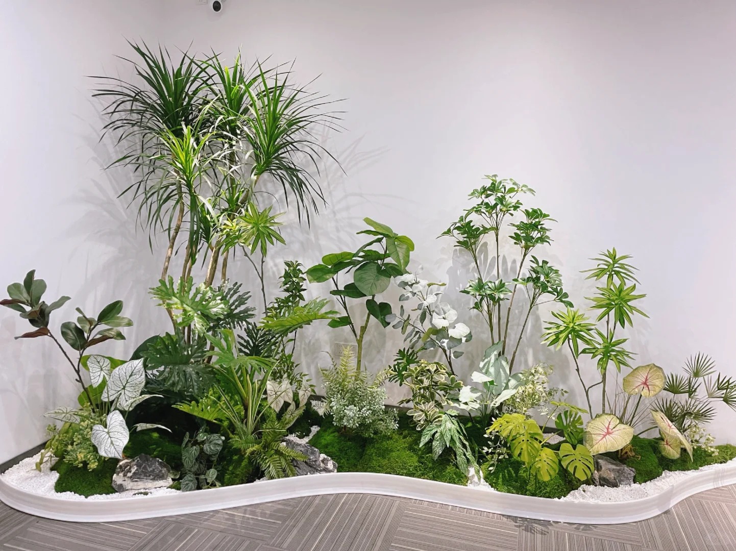 价格实惠的植物租赁哪里找?宁波慈溪别错过!